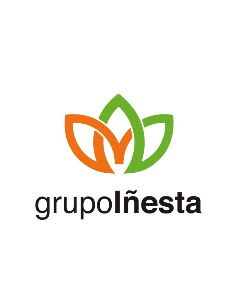 Grupo Iñesta